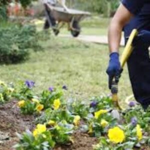 El mejor servicio de jardineria Jardines del Caribe, SRL